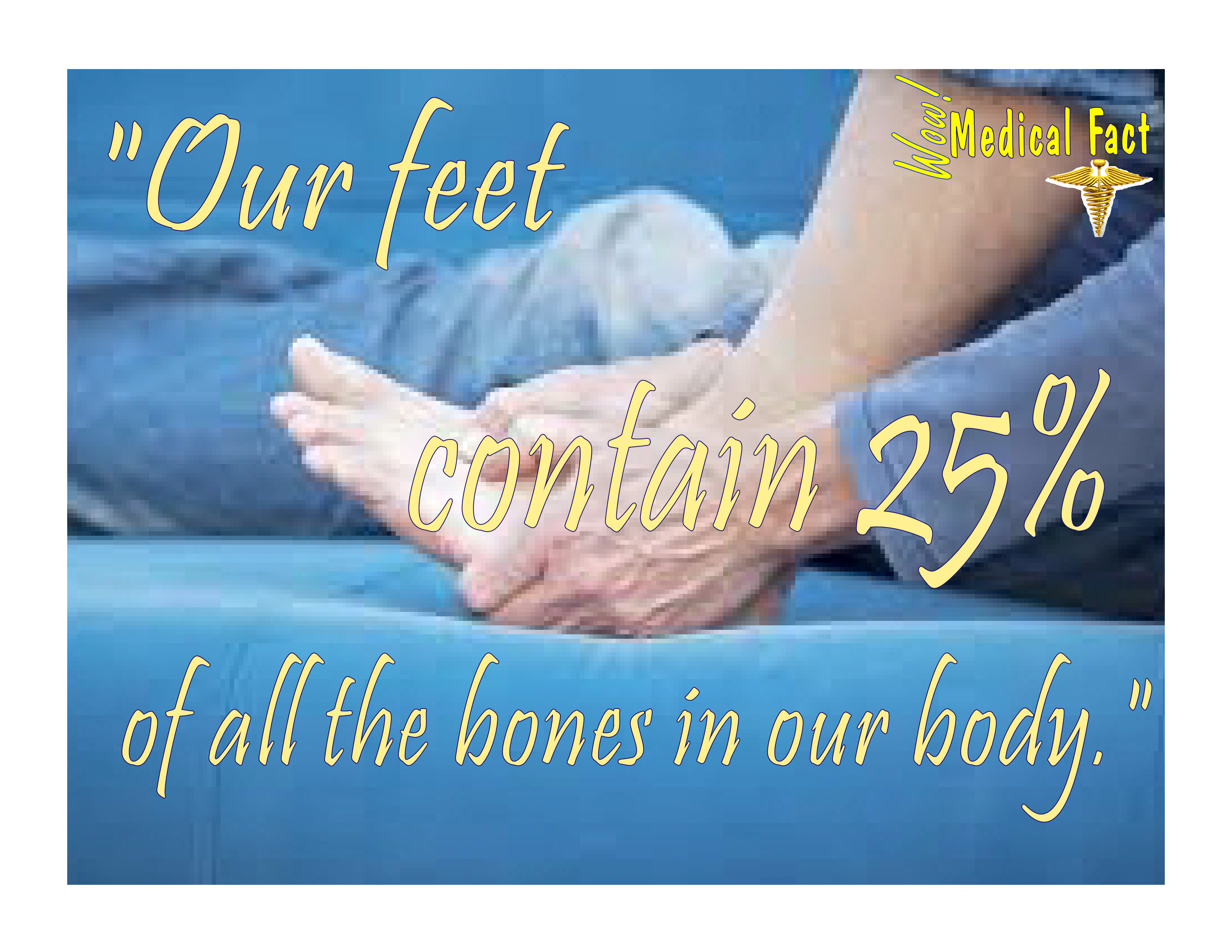 25% Bones