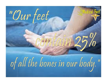 25% Bones